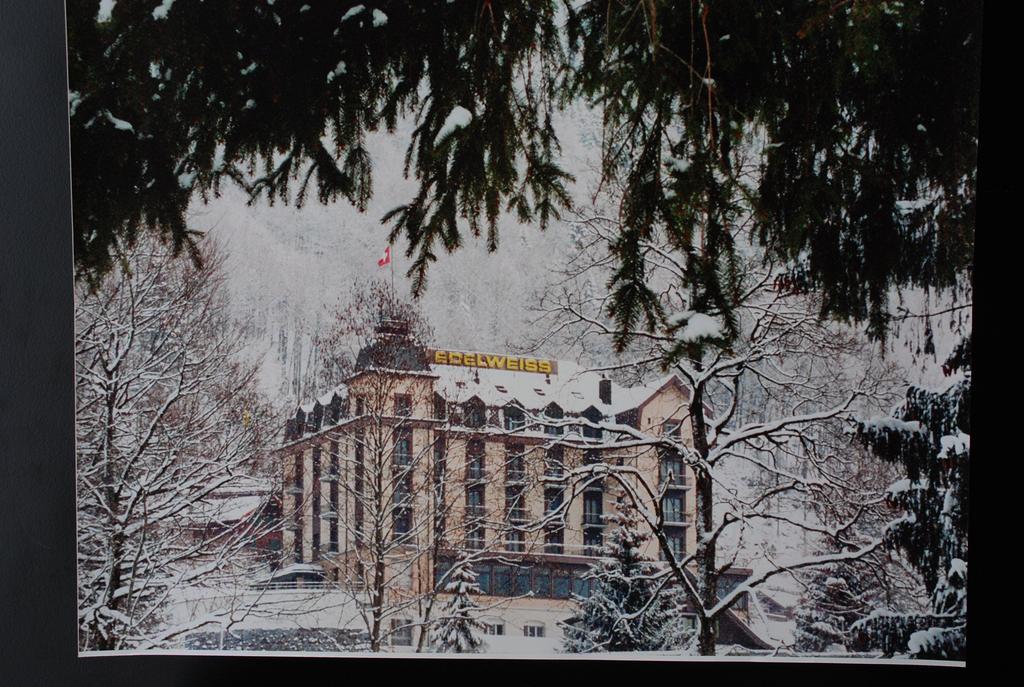 Hotel Edelweiss 엥겔베르그 외부 사진